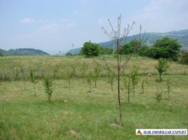 vand-teren-intravilan-de-2130-mp-in-apa-sarata-campulung-muscel-arges-8