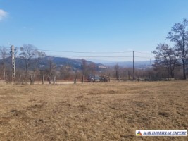 teren-intravilan-3800-mp-de-vanzare-in-albestii-de-muscel-ideal-pentru-dezvoltare-rezidentiala-2