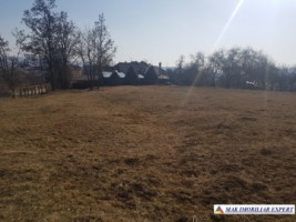 teren-intravilan-3800-mp-de-vanzare-in-albestii-de-muscel-ideal-pentru-dezvoltare-rezidentiala-3