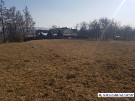 teren-intravilan-3800-mp-de-vanzare-in-albestii-de-muscel-ideal-pentru-dezvoltare-rezidentiala-4