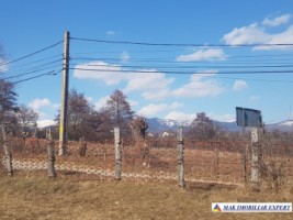 teren-intravilan-3800-mp-de-vanzare-in-albestii-de-muscel-ideal-pentru-dezvoltare-rezidentiala-5