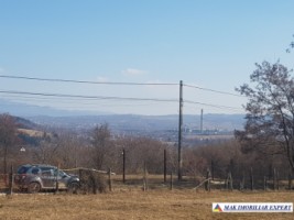 teren-intravilan-3800-mp-de-vanzare-in-albestii-de-muscel-ideal-pentru-dezvoltare-rezidentiala-6