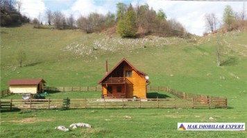 teren-52-ha-intra-extranilan-dambovicioara-6