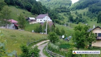 teren-52-ha-intra-extranilan-dambovicioara-12