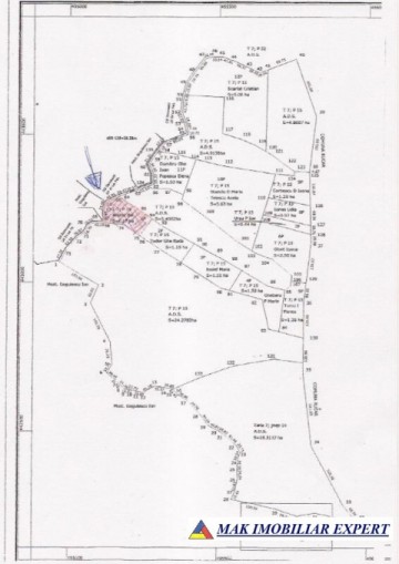 teren-extravilan-117-ha-nucsoara-arges-ideal-pentru-agricultura-si-proiecte-rurale-2