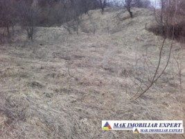 teren-extravilan-1-ha-de-vanzare-in-balilesti-poienita-arges-inclus-in-pug-ideal-pentru-investitii-agricole-1