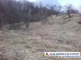 teren-extravilan-1-ha-de-vanzare-in-balilesti-poienita-arges-inclus-in-pug-ideal-pentru-investitii-agricole-2