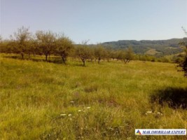vand-teren-intravilan-283-ha-mihaesti-arges-3