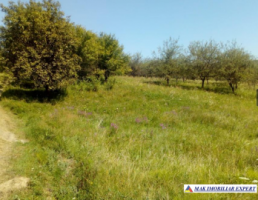 vand-teren-intravilan-283-ha-mihaesti-arges-4