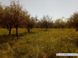 vand-teren-intravilan-283-ha-mihaesti-arges-5