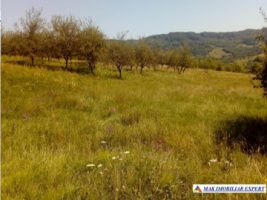 vand-teren-intravilan-283-ha-mihaesti-arges-6