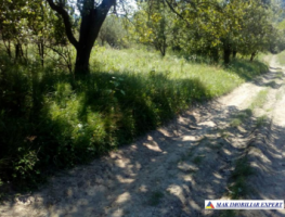 vand-teren-intravilan-283-ha-mihaesti-arges-7