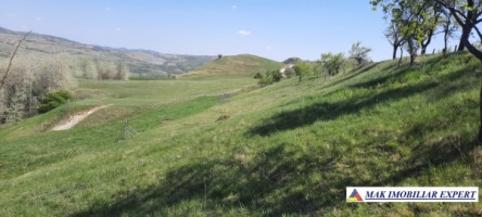 teren-6000-mp-extravilan-matau-3