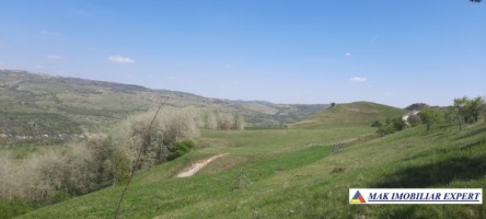 teren-6000-mp-extravilan-matau-2