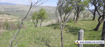 teren-6000-mp-extravilan-matau-10