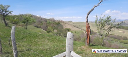 teren-6000-mp-extravilan-matau-9
