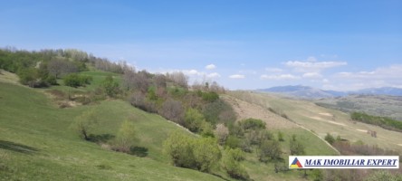 teren-6000-mp-extravilan-matau-15