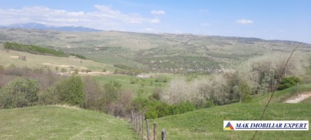 teren-6000-mp-extravilan-matau-16