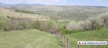 teren-6000-mp-extravilan-matau-17
