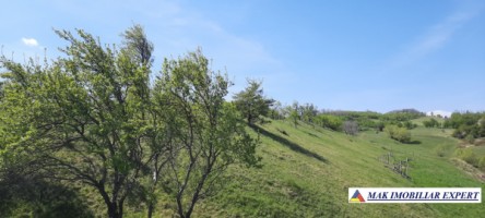teren-6000-mp-extravilan-matau-19