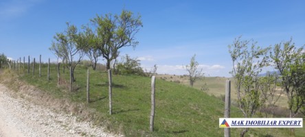 teren-6000-mp-extravilan-matau-25