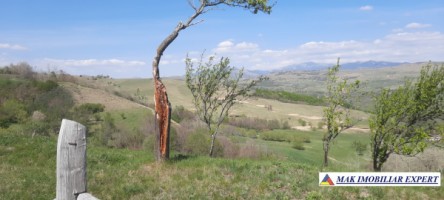 teren-6000-mp-extravilan-matau-27