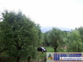 teren-intravilan-4200-mp-de-vanzare-in-valea-barbusii-campulung-muscel-arges-1