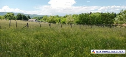 teren-1350-mp-intravilan-bughea-de-jos
