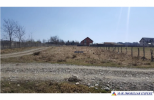 teren-1350-mp-intravilan-bughea-de-jos-3