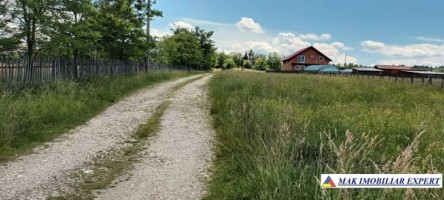 teren-1350-mp-intravilan-bughea-de-jos-4