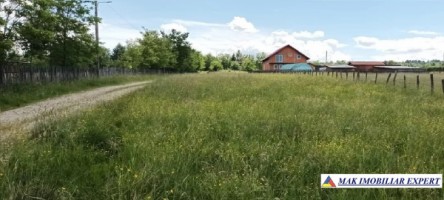 teren-1350-mp-intravilan-bughea-de-jos-6