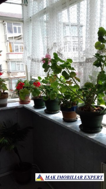 apartament-2-camere-cf-1-et-24-campulung-30