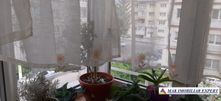 apartament-2-camere-cf-1-et-24-campulung-29