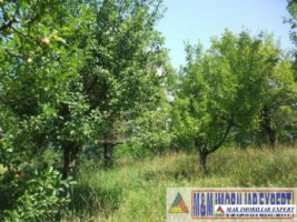 teren-1427-mp-intravilan-valea-mare-pravat-bilcesti-4