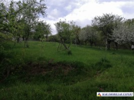 teren-1427-mp-intravilan-valea-mare-pravat-bilcesti-6