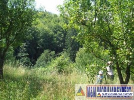 teren-1427-mp-intravilan-valea-mare-pravat-bilcesti-5