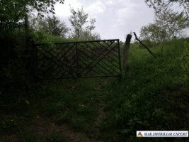 teren-1427-mp-intravilan-valea-mare-pravat-bilcesti-7