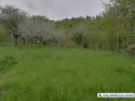 teren-1427-mp-intravilan-valea-mare-pravat-bilcesti-8