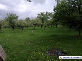 teren-1427-mp-intravilan-valea-mare-pravat-bilcesti-11