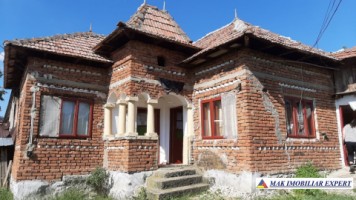 vand-casa-4-camere-cu-anexele-sale-teren-6000-mp-hartiesti