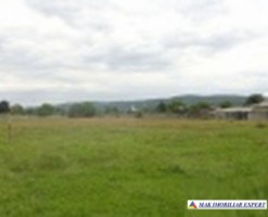 teren-2800-mp-intravilan-stalpeni-arges