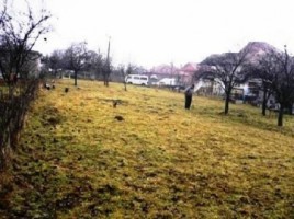 teren-intravilan-816-mp-in-valea-mare-pravat-arges-1