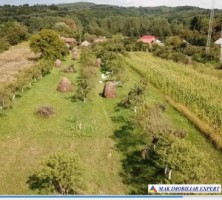 casa-3-camere-teren-6800-mp-livada-de-pruni-cioflingeni-2