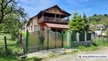 urgent-vila-cu-6-camere-de-vanzare-in-malu-godeni-arges-teren-de-1000-mp-3