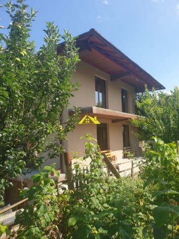 duplex-cetate-1