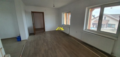 casa-de-vanzarein-cetate-piata-3
