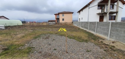 teren-intre-alba-micesti-2