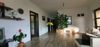 casa-noua-alba-micesti