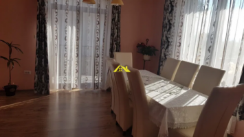 casa-individuala-alba-micesti-3