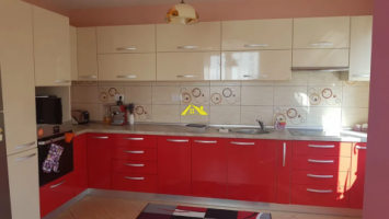 casa-individuala-alba-micesti-5